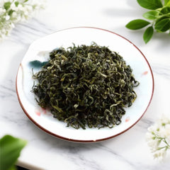 贵州毛尖2025新茶特级嫩芽炒青高山云雾