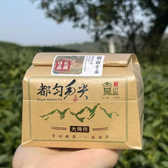 贵州毛尖2026新茶特级炒青高山云雾袋装